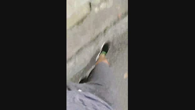 Baixinhobrasil  28-08-2023 Recorded Video fuckher