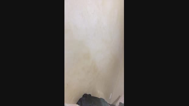 Boykaxv66