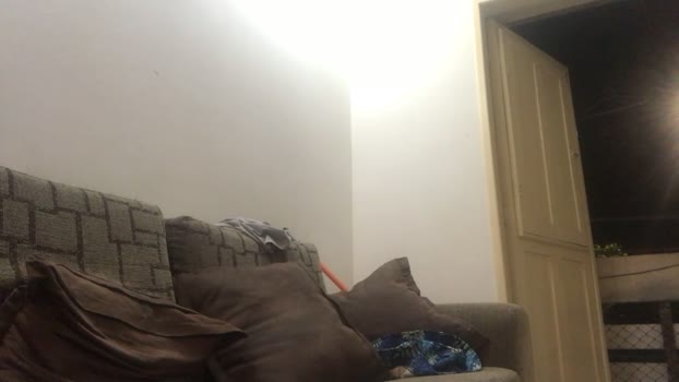 omiranhaaa  28-08-2023 Recorded Video bj-dildo