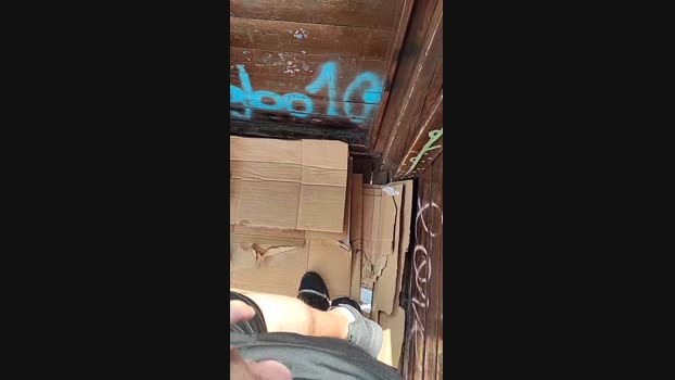 6Q87  30-08-2023 Recorded Video toys