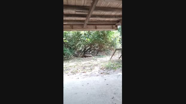 Vitoboys  30-08-2023 Recorded Video bigcock