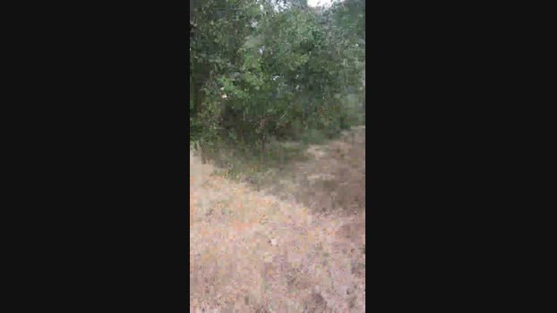 faraon47  30-08-2023 Recorded Video lush