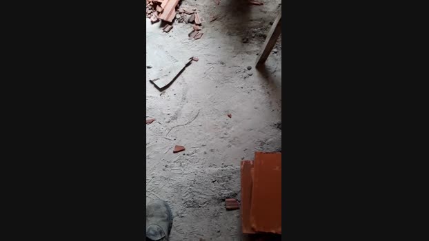 pochatts  29-08-2023 Recorded Video blowjob