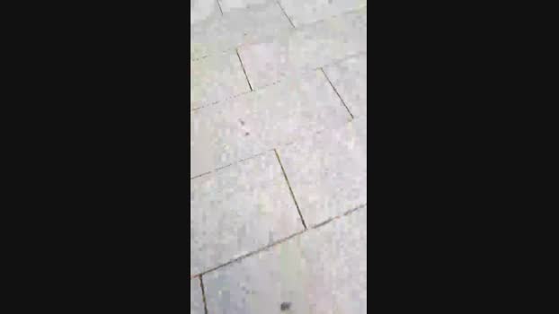 DePamplona  31-08-2023 Recorded Video bigdick