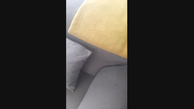 Cristiam3  01-09-2023 Recorded Video show