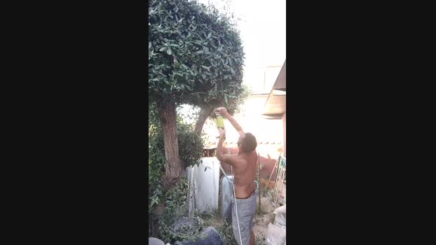 Fabio530234  31-08-2023 Recorded Video XXX