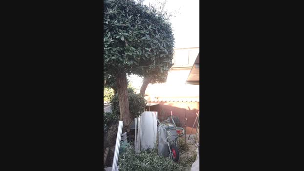 Fabio530234  31-08-2023 Recorded Video lush