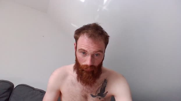 Ginger_Stute