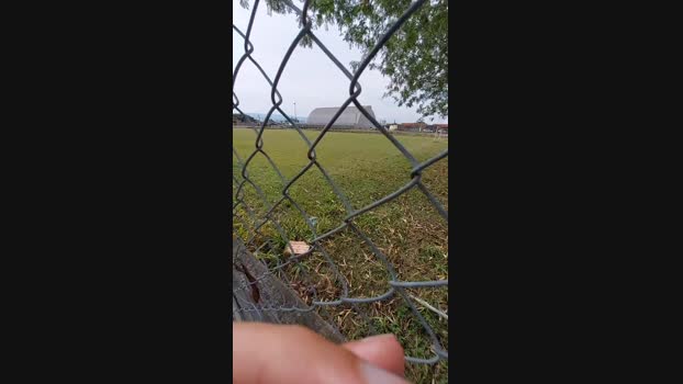 jao_magrao  31-08-2023 Recorded Video analtoy