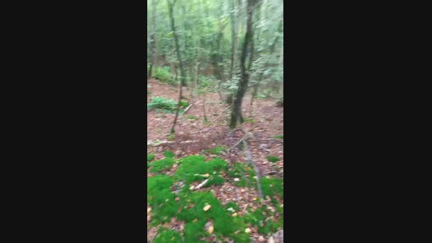rob3rtdenor3  01-09-2023 Recorded Video bigballs