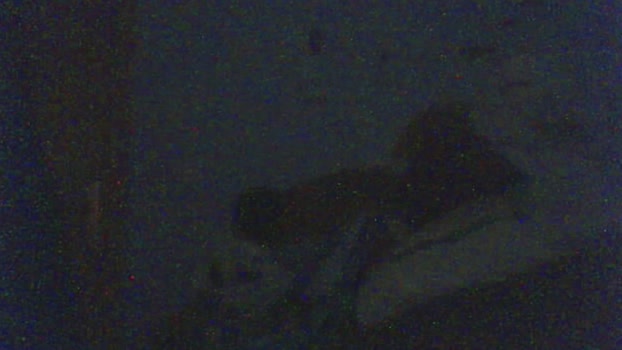 tioenbolas78  31-08-2023 Recorded Video kink