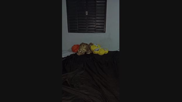 Casaltesao67  02-09-2023 Recorded Video beauty