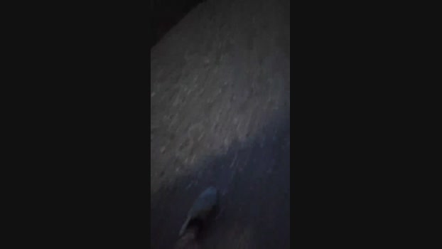 Majo_Boy  01-09-2023 Recorded Video sexyfeet