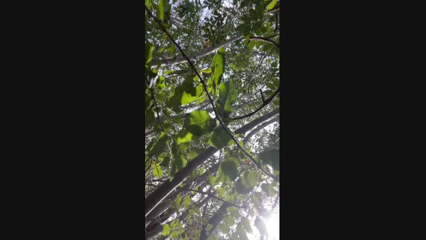 00max  03-09-2023 Recorded Video suck