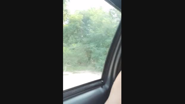 Vitoboys  03-09-2023 Recorded Video Ass