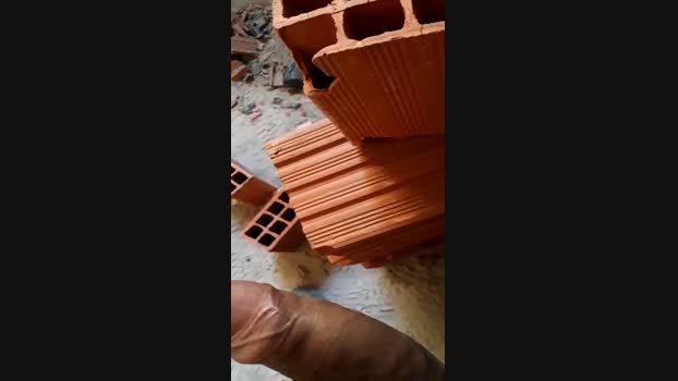 pochatts  02-09-2023 Recorded Video Download