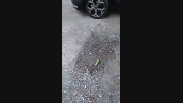 6Q87  03-09-2023 Recorded Video fuckass