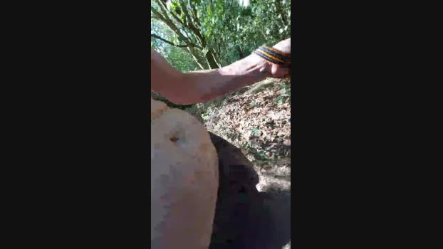 Andrelecoquin  04-09-2023 Recorded Video amateur