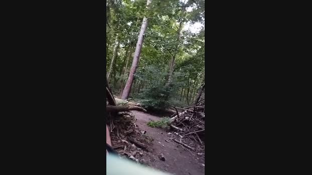 BeardedBaldBear  03-09-2023 Recorded Video Pretty