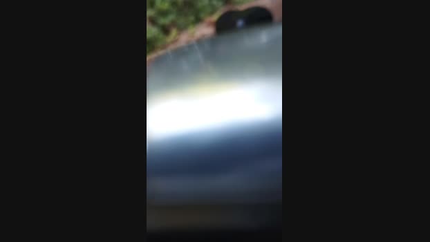BeardedBaldBear  03-09-2023 Recorded Video bigload