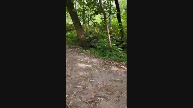 Cndhunkxxxxx  04-09-2023 Recorded Video fuckhard