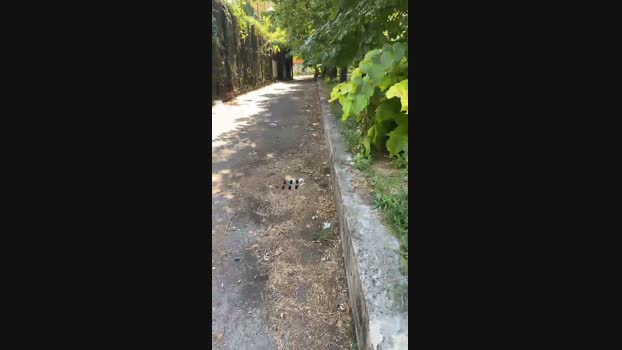 Fragolone4  04-09-2023 Recorded Video fuckass