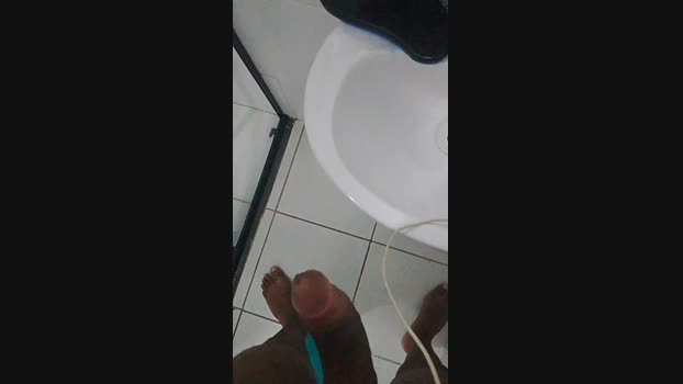 novinhorola22
