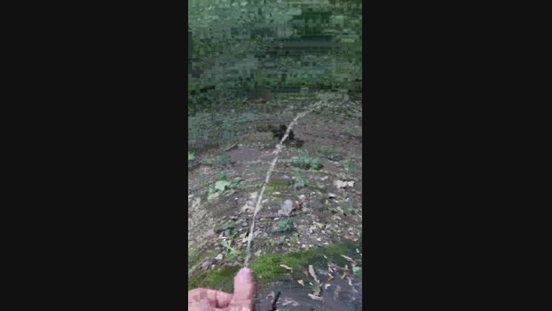 anastasios87  04-09-2023 Recorded Video jerking