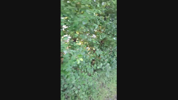 widder35  06-09-2023 Recorded Video fingers