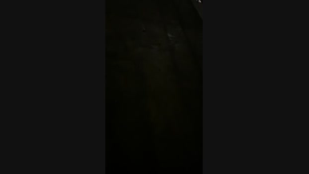 boggytaiwan  06-09-2023 Recorded Video strip