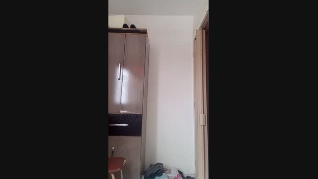 guto31gat  07-09-2023 Recorded Video nude