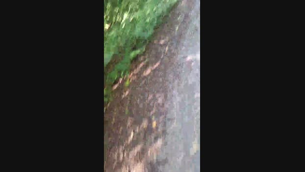 widder35  06-09-2023 Recorded Video toys