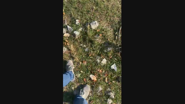 Ciacco2  08-09-2023 Recorded Video Cam