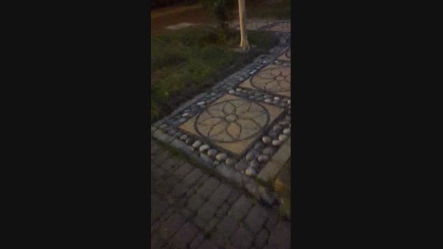 tarcton78  08-09-2023 Recorded Video kink