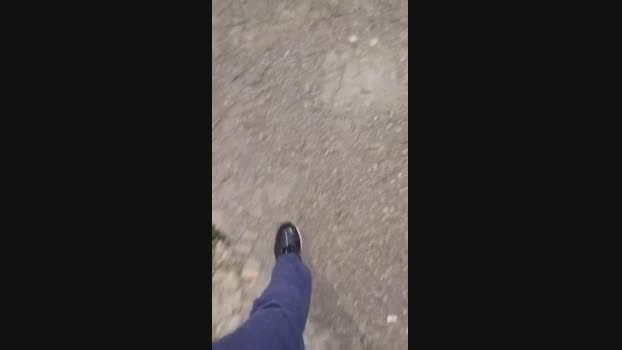 Carlosal22  08-09-2023 Recorded Video bigdick
