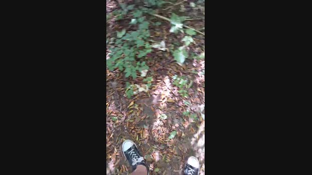 widder35  09-09-2023 Recorded Video toys