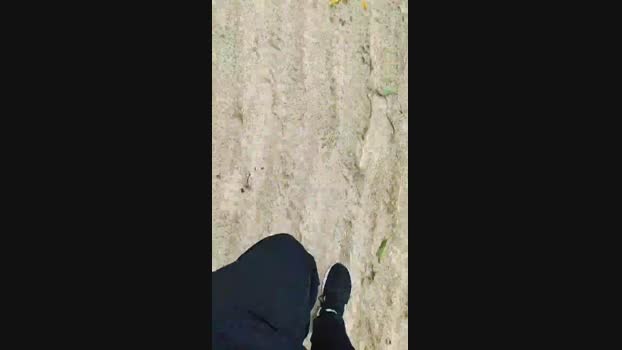 Baixinhobrasil  09-09-2023 Recorded Video hard