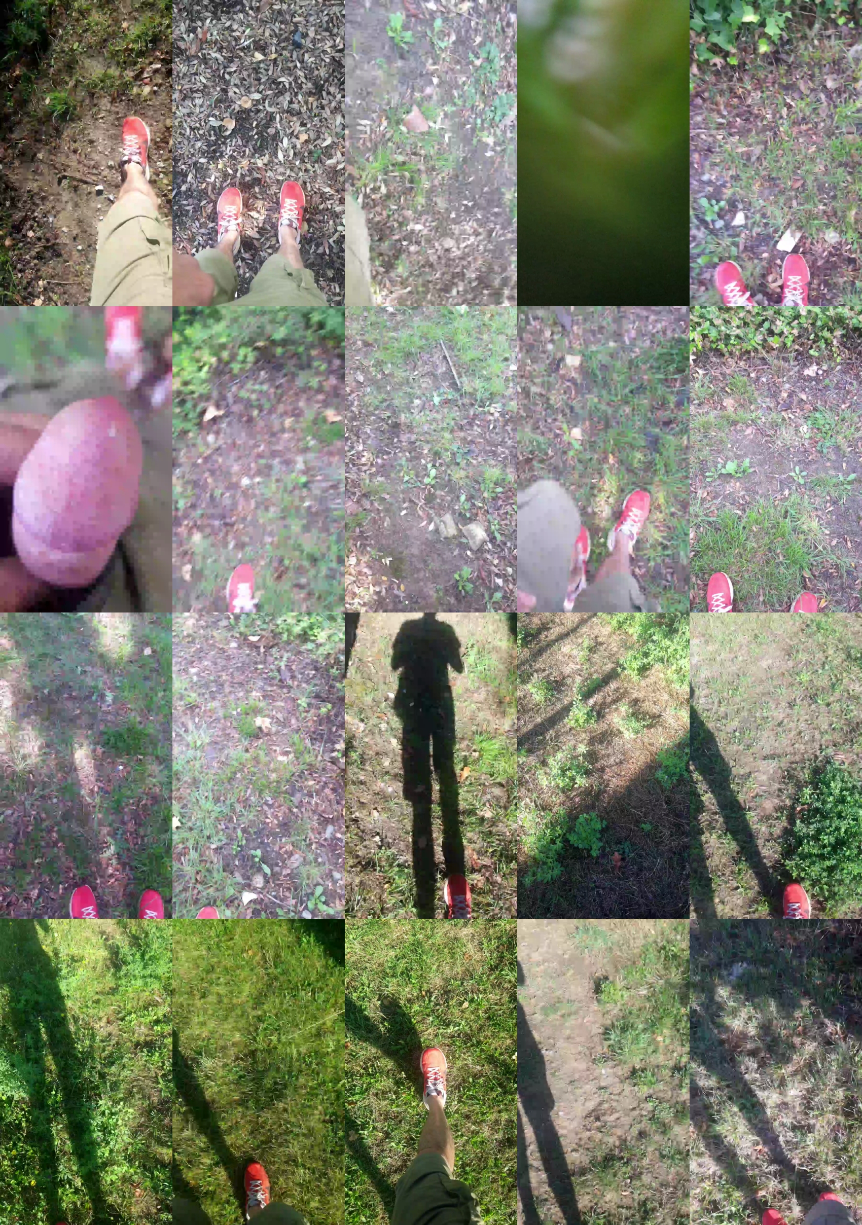 DePamplona  10-09-2023 Recorded Video lick