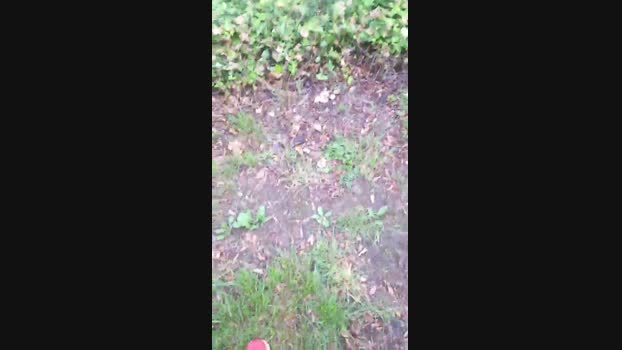 DePamplona  10-09-2023 Recorded Video lick