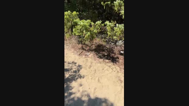 JOREDD  10-09-2023 Recorded Video skinny