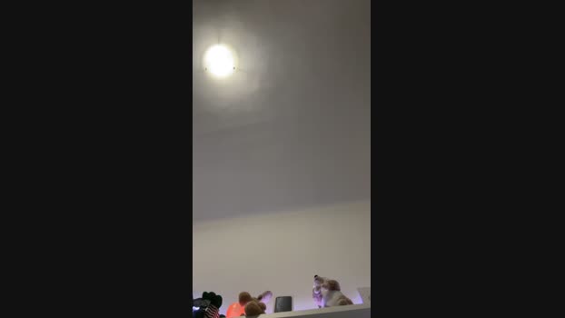 Seilina  09-09-2023 Recorded Video sexymale