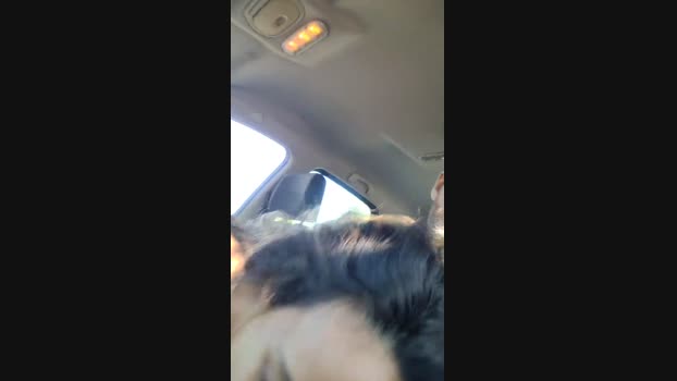 duf83  10-09-2023 Recorded Video big