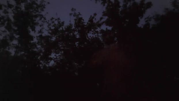 polaands  09-09-2023 Recorded Video fuck