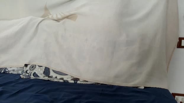 Callmeluca  11-09-2023 Recorded Video nasty