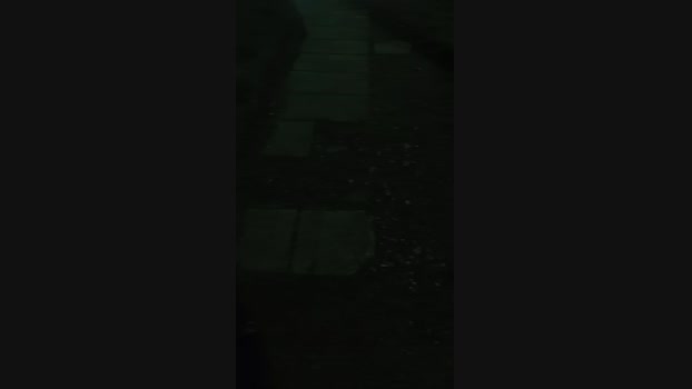 Laoquedad  10-09-2023 Recorded Video beautiful
