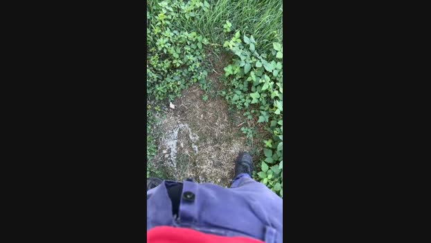 caio1825  11-09-2023 Recorded Video Video
