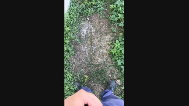 caio1825  11-09-2023 Recorded Video sweet