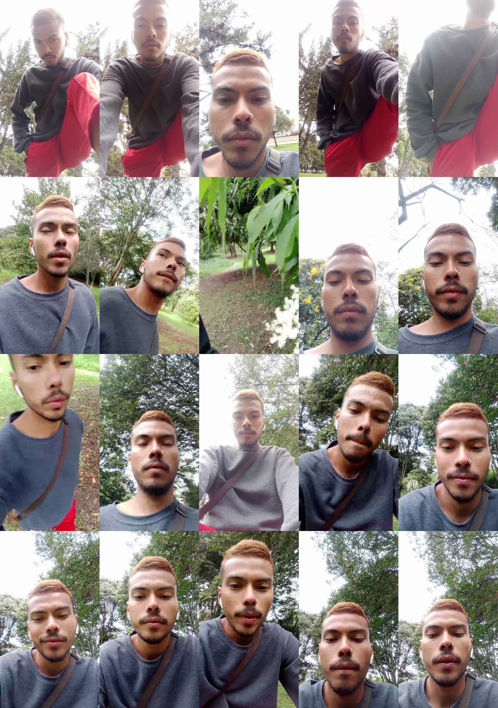 pettercat  10-09-2023 Recorded Video play
