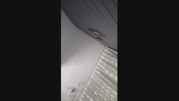 polaands  11-09-2023 Recorded Video jerking