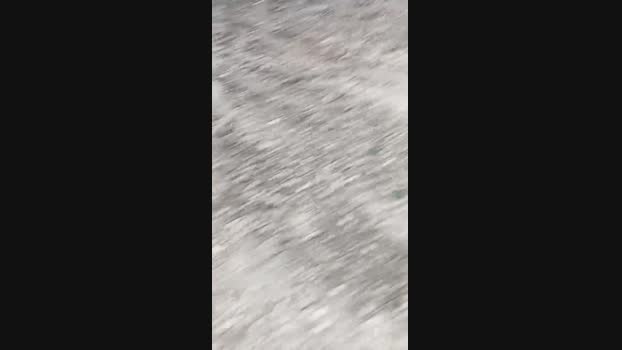 ptitcouic  11-09-2023 Recorded Video love